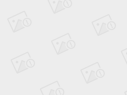 INTP人多吗（探究INTP性格类型分布状况）